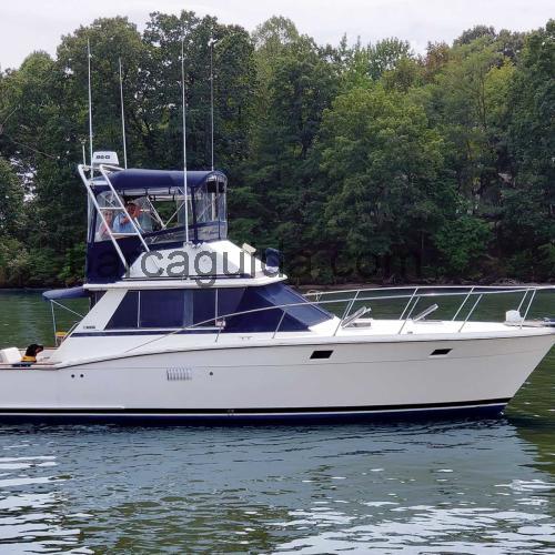 Trojan 36 FLY recensioni e scheda tecnica